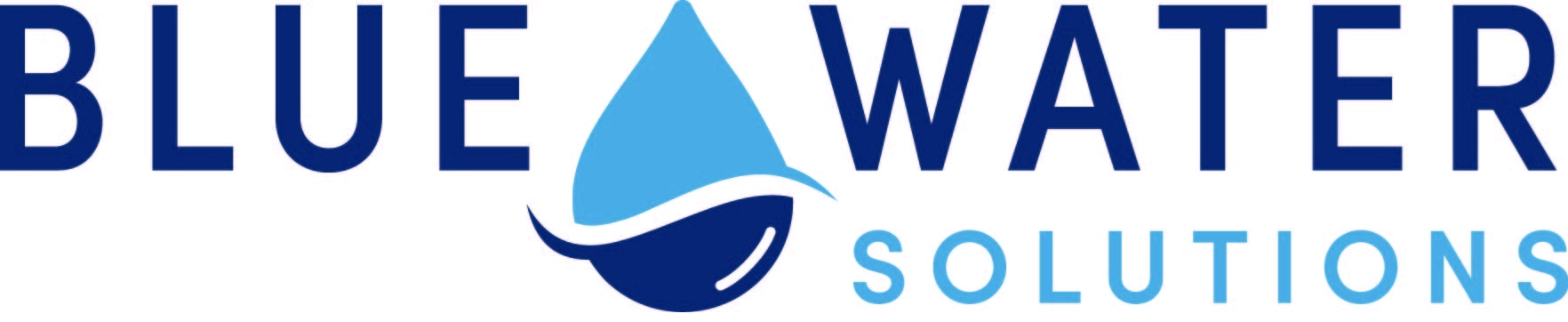 BWS logo